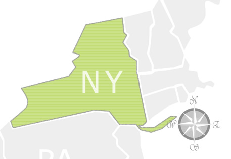 State of New York Map
